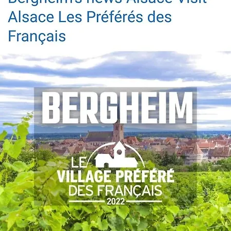 Prázdninový dům La Maison Des Tanneurs Ribeauvillé