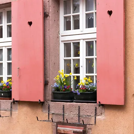 La Maison Des Tanneurs * Ribeauvillé