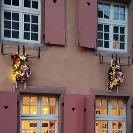 La Maison Des Tanneurs Сasa de vacaciones Ribeauvillé