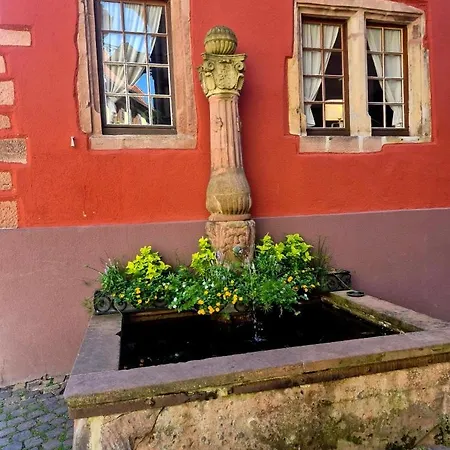 La Maison Des Tanneurs *