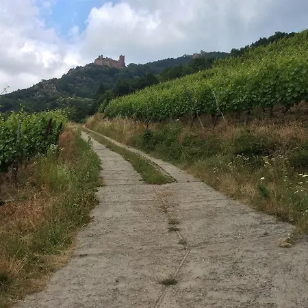 Сasa de vacaciones La Maison Des Tanneurs