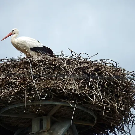 Prázdninový dům La Maison Des Tanneurs *
