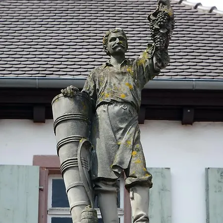 La Maison Des Tanneurs * Ribeauvillé