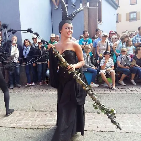 La Maison Des Tanneurs Prázdninový dům