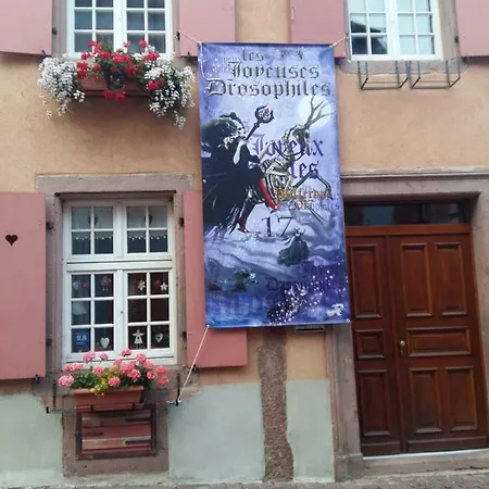 Ferienhaus La Maison Des Tanneurs *