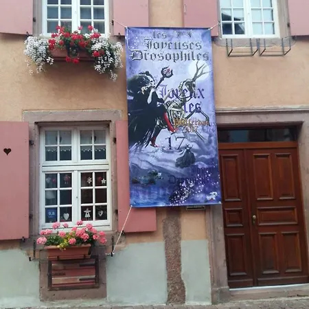 Сasa de vacaciones La Maison Des Tanneurs *