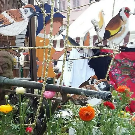 La Maison Des Tanneurs * Ribeauvillé