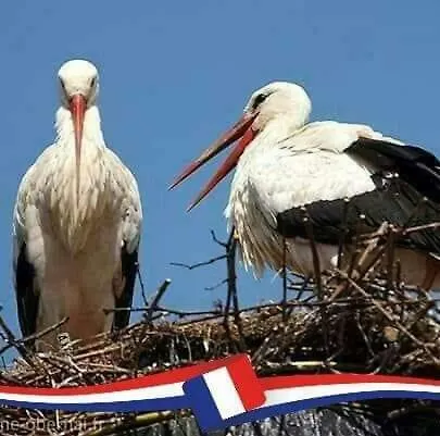 La Maison Des Tanneurs Prázdninový dům