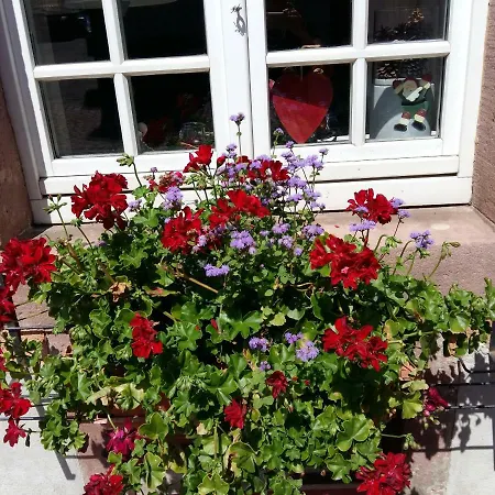 La Maison Des Tanneurs Prázdninový dům *