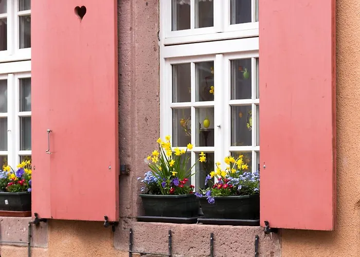 La Maison Des Tanneurs * Ribeauvillé