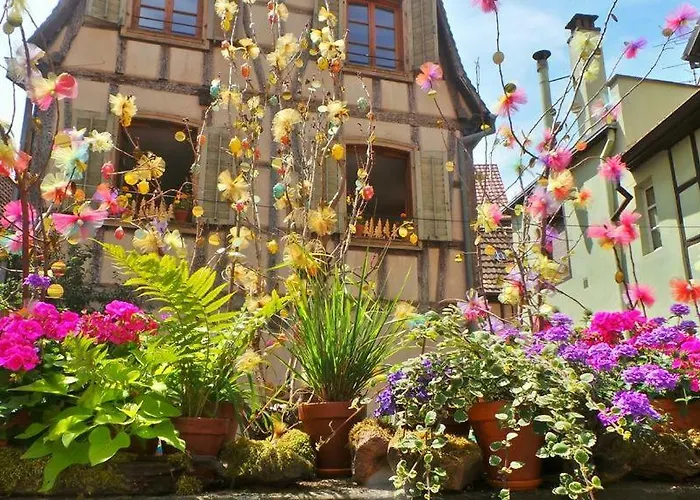 Semesterbostad La Maison Des Tanneurs